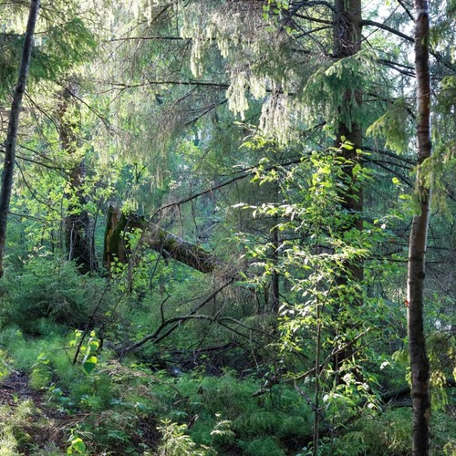 Photo #13834205