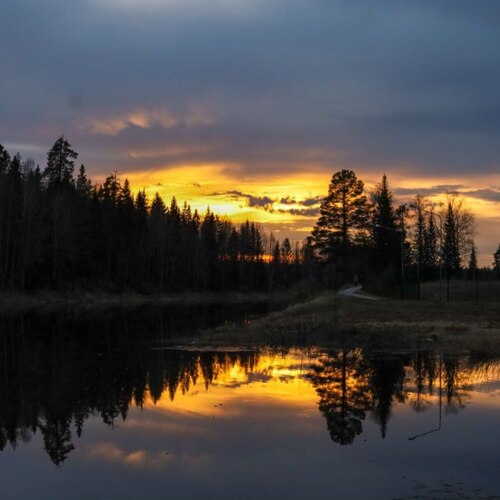 Photo #13834228