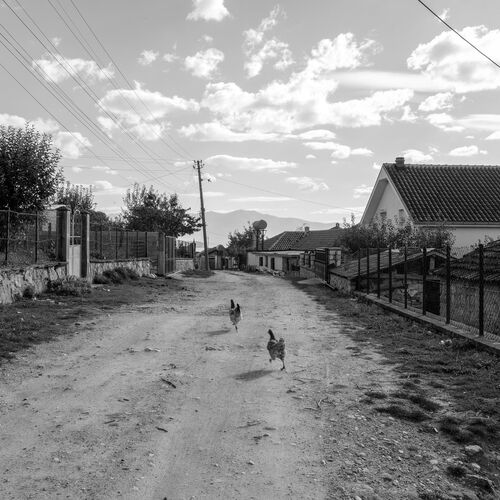 Photo #13834286