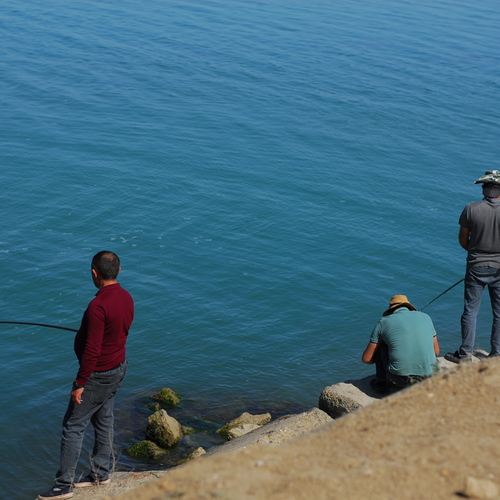 Photo #13834307