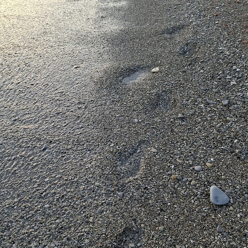 Photo #13834319