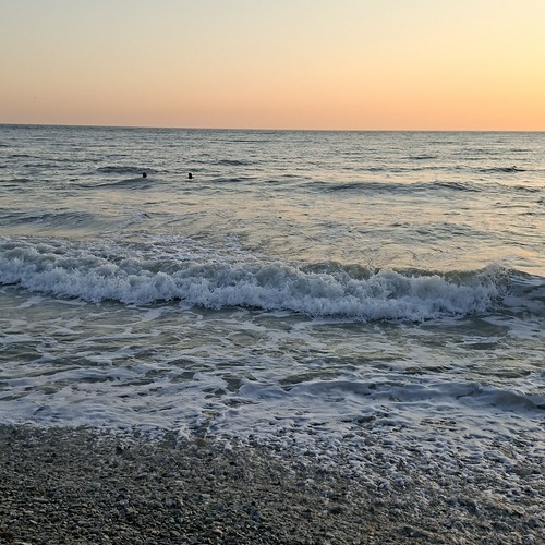 Photo #13834320