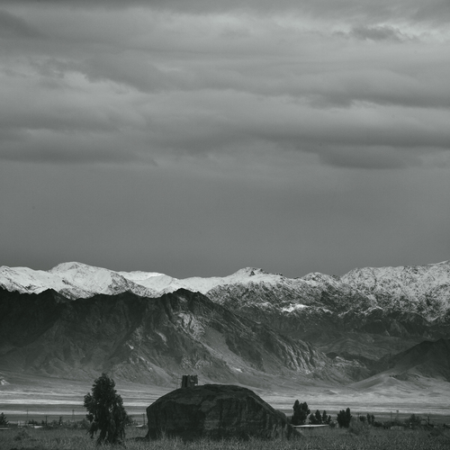 Photo #13834368