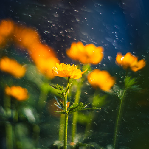 Photo #13834466