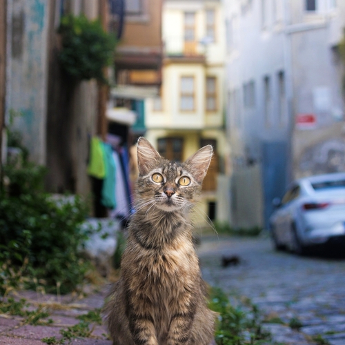 Photo #13834467