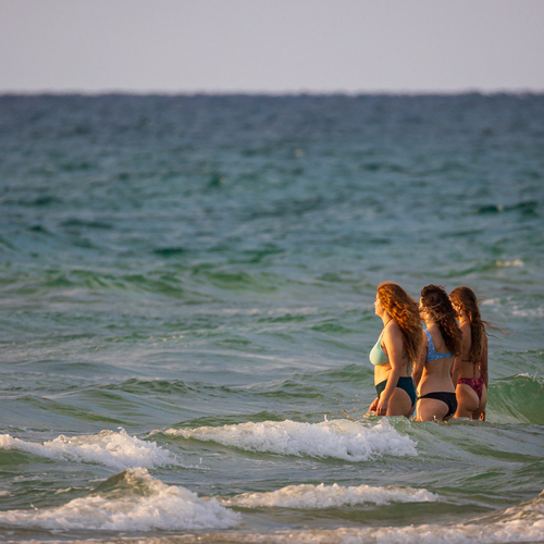 Photo #13834479