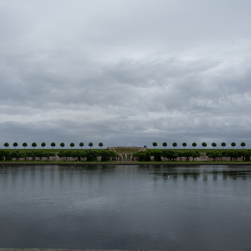 Photo #13834484