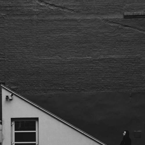 Photo #13834538
