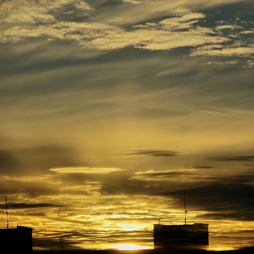Photo #13834539