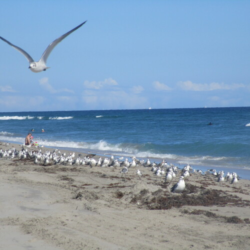Photo #13834568