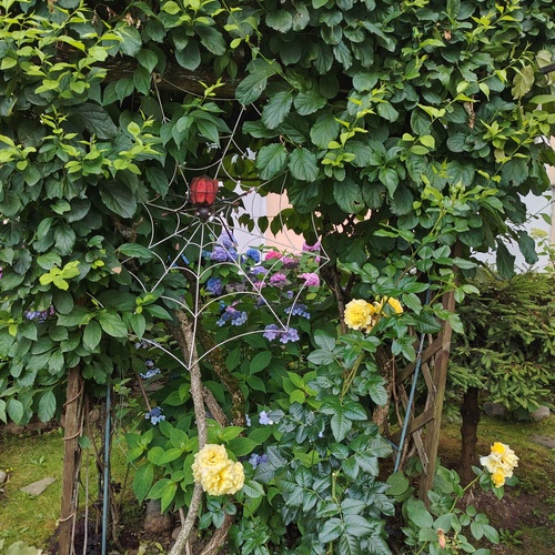 Photo #13834609