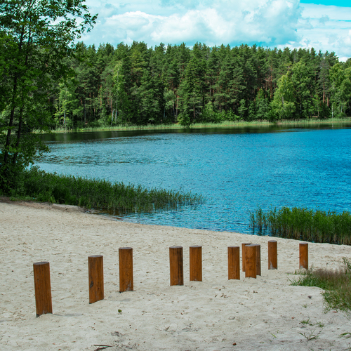 Photo #13834617