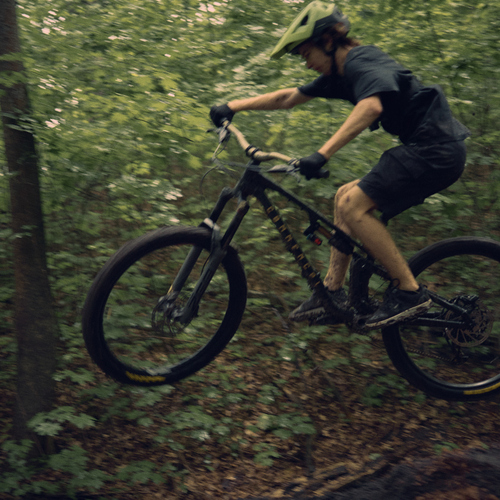 Photo #13834661