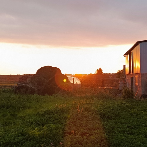Photo #13834859