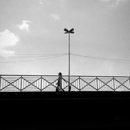 Photo #13834937