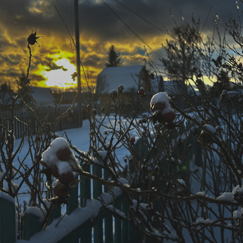 Photo #13834950