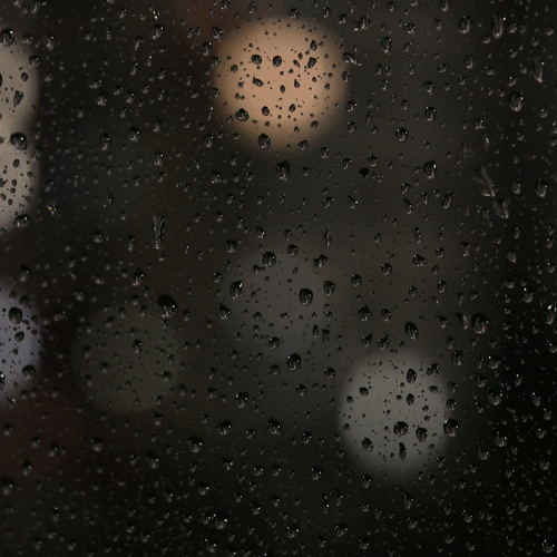Photo #13834976