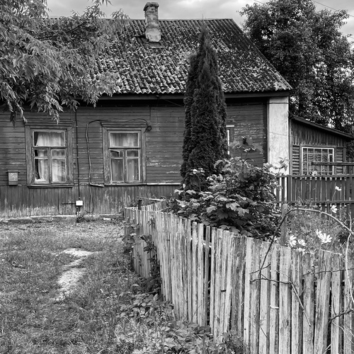 Photo #13834998