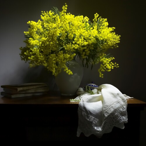 Photo #13835006