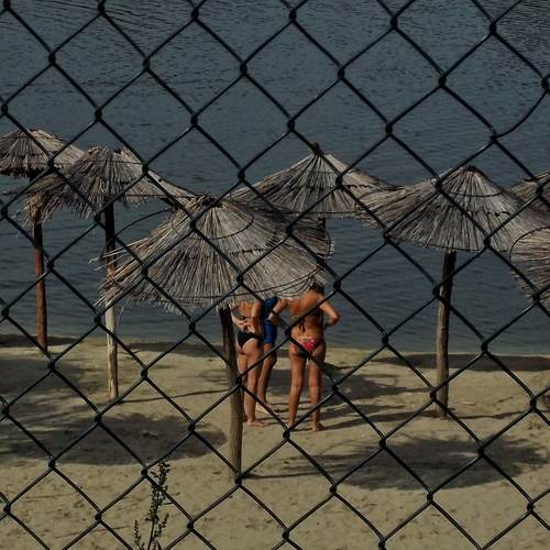 Photo #13835047