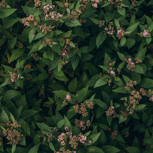 Photo #13835133