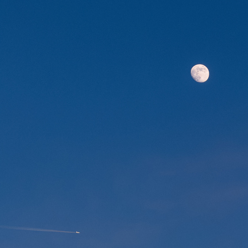 Photo #13835144