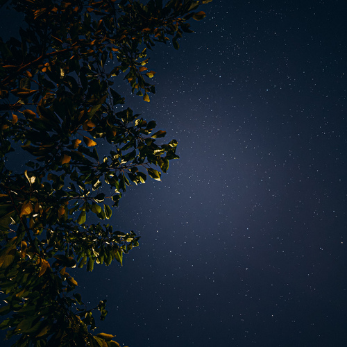 Photo #13835145