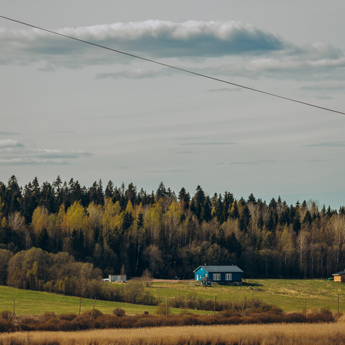 Photo #13835146