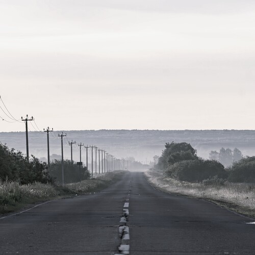 Photo #13835218