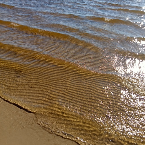Photo #13835295