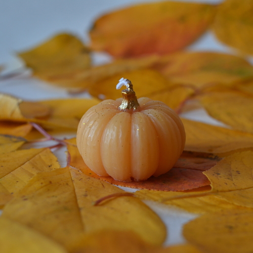 Photo #13835306
