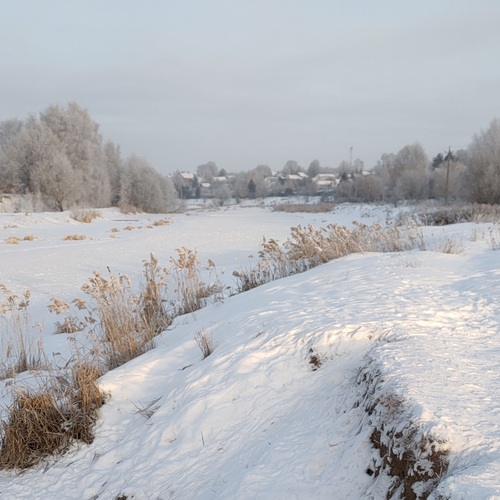 Photo #13835403