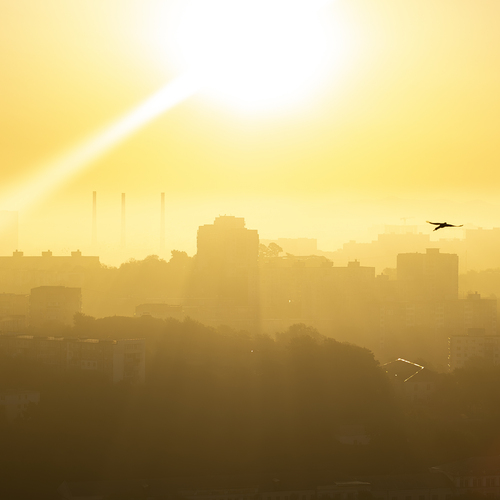 Photo #13835524