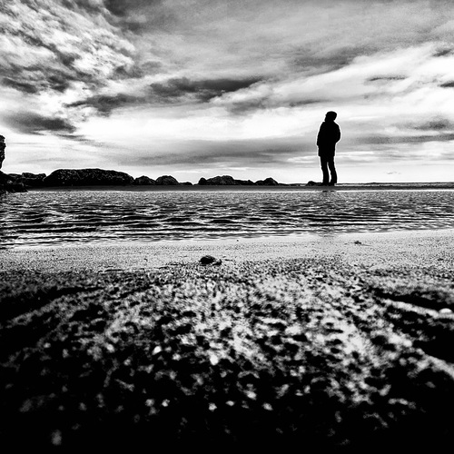 Photo #13835554