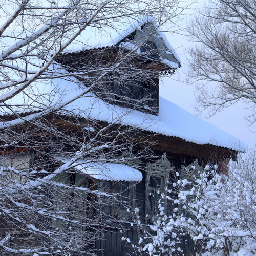 Photo #13835563