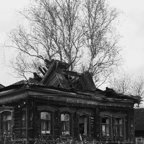 Photo #13835564