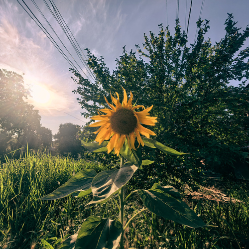 Photo #13835775
