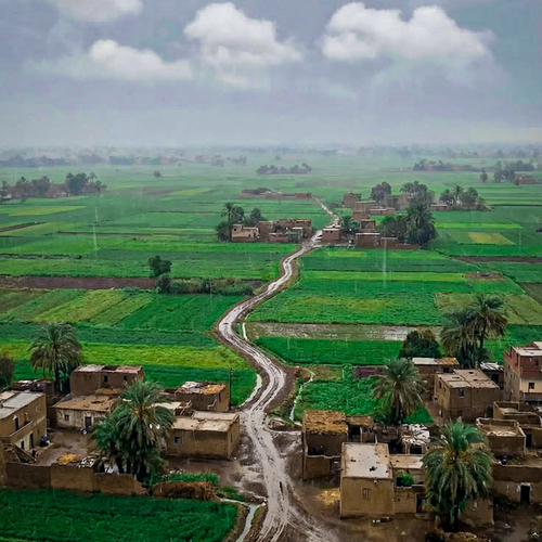The Path Through the Fields