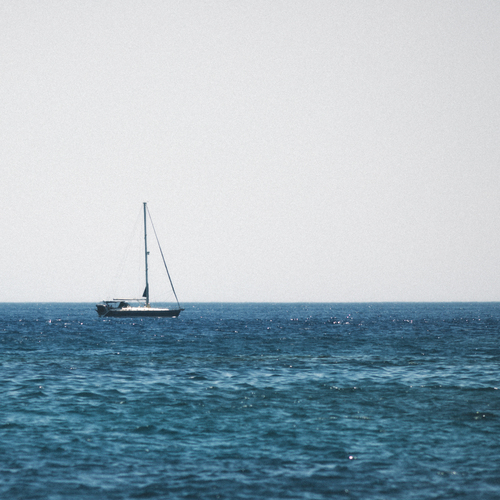 Photo #13835836