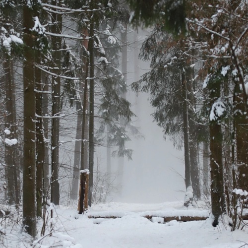 Photo #13835895