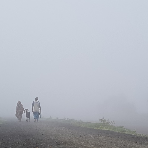 Photo #13835899