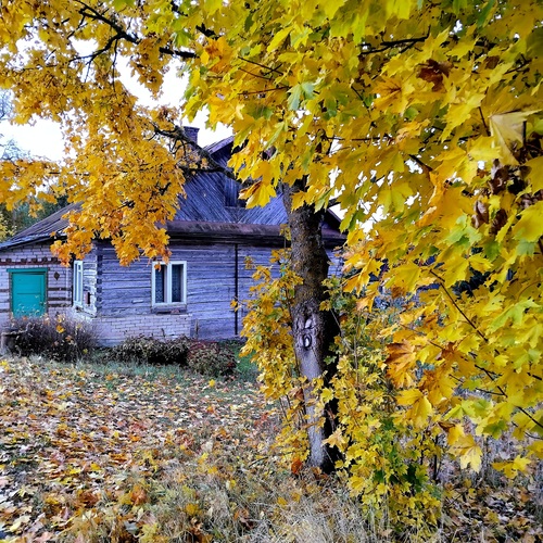 Photo #13835950