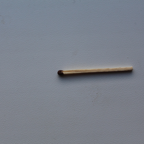 Photo #13836003