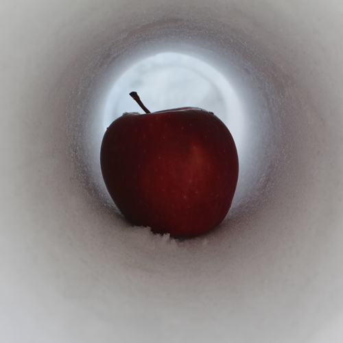 Photo #13836008