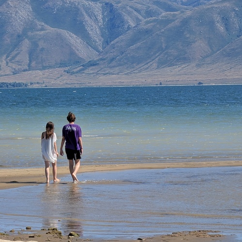 Photo #13836012