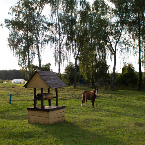 Photo #13836077