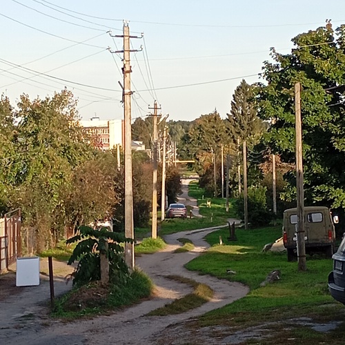 Photo #13836103