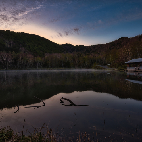 Photo #13836218