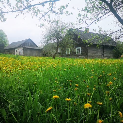 Photo #13836263