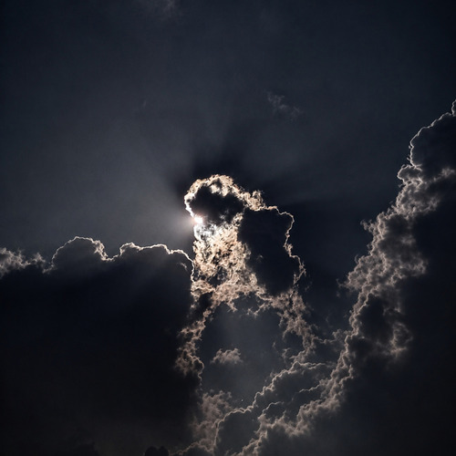 Photo #13836402
